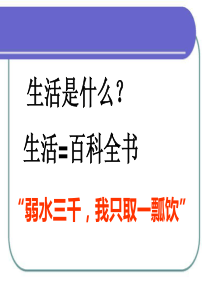 高三语文课件半张纸高三语文课件