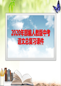 2020年部编人教版中考语文总复习12个专题复习课件