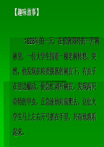 高三语文课件达尔文兴趣与恒心是科学发展的动力高三语文课件