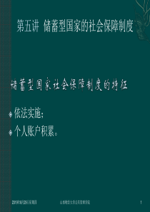 第五讲储蓄型国家的社会保障制度