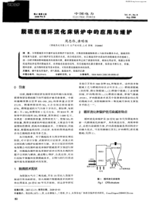 脱硫在循环流化床锅炉中的应用与维护