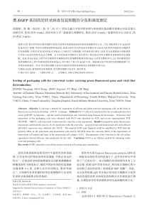 携EGFP基因的逆转录病毒包装细胞的分选和滴度测定