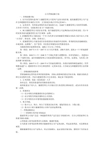 公司营销战略方案.doc