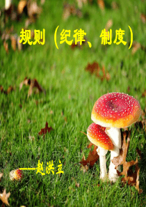 第六课规则、制度10月8日(纪律公约赵洪立)