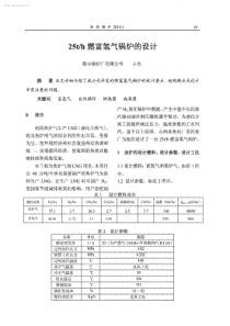 25th燃富氢气锅炉的设计