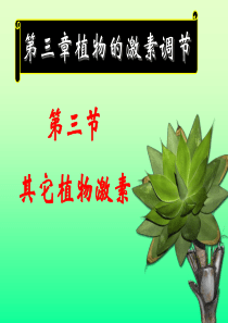 3.3《其他植物激素》