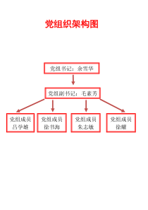 党组织结构图