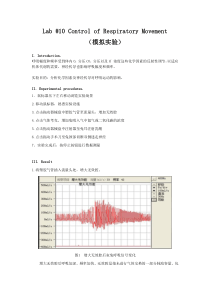 兔子呼吸运动的调节实验报告