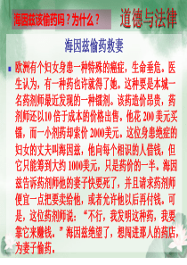 第六课弘扬法治精神-当好国家公民课件