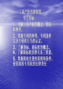 管理制度--工业产权法律制度(PPT 30页)(1)