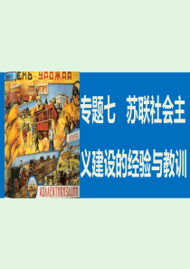 高中历史人民版必修二专题七苏联社会主义建设的经验与教训2课件