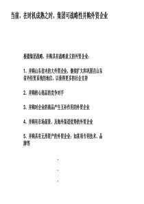 某纺织企业发展战略规划(涉及金融.房地产.物流)B-64页