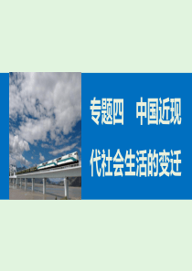 高中历史人民版必修二专题四中国近现代社会生活的变迁2课件