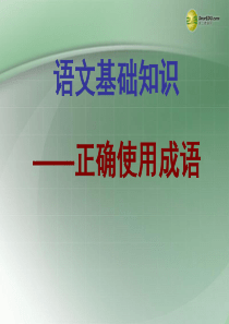 广西北海市第九中学高考语文 正确使用成语基础知识教学课件