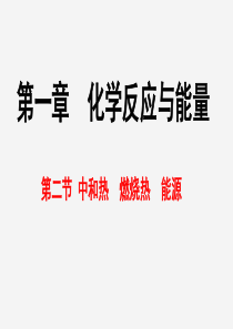 专题12燃烧热能源课件