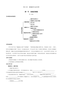 人教版高中生物高一必修一导学案第六章细胞的生命历程第一节细胞的增殖第1课时word版