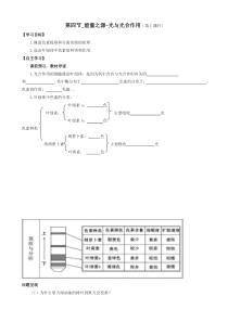 人教版高中生物高一必修一导学案第五章细胞的能量供应和利用第四节能量之源光与光合作用第1课时word版