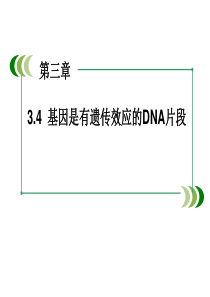 人教版高中生物高一必修二34基因是有遗传效应的dna片段课件