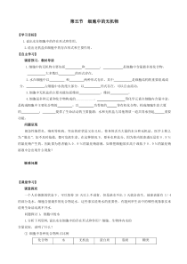 人教版高中生物高一必修一导学案第二章组成细胞的分子第五节细胞中的无机物word版