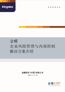 企业风险管理与内部控制解决方案介绍2011