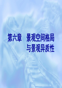 6第六、七章 景观空间结构与景观异质性