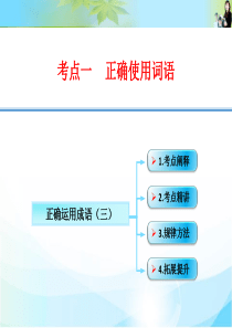 2016创新设计高考总复习(人教版)语文课件：语言文字运用 第1课时  正确运用成语(三)