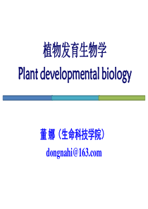 植物发育生物学1