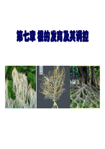 植物发育生物学7