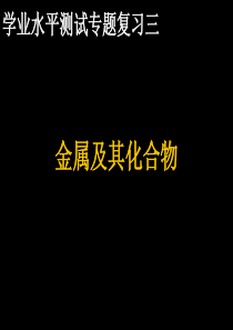 高中化学学业水平测试专题复习三 金属及其化合物