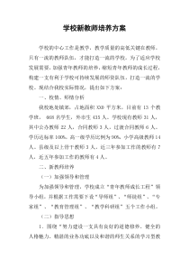 学校新教师培养方案