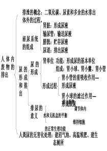 人体内废物的排出复习