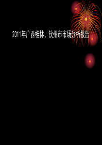 2011年广西桂林、钦州市场考察报告(上传版)