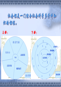 九年级社会 专题一：认识社会生活