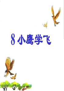 小鹰学飞5