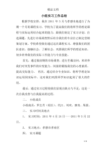 小组实习工作总结