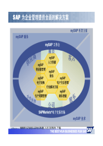 SAP 企业解决方案