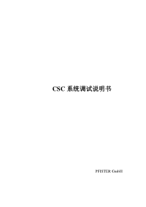 菲斯特转子秤CSC 调试手册