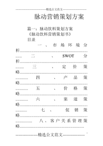 脉动营销策划方案