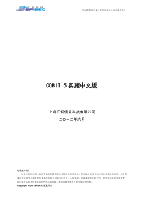 汇哲COBIT5.0实施指南中文翻译版