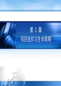 信息系统项目管理 系统集成项目管理 项目组织与生命周期