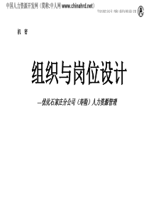 咨询公司为平安保险石家庄分公司做的组织与岗位设计