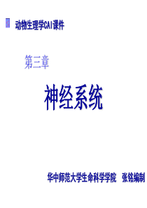 第三章  动物生理学神经系统3_张铭2009