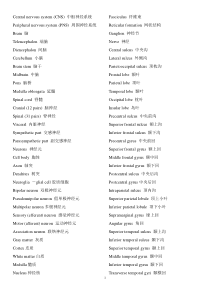 脑解剖专有名词