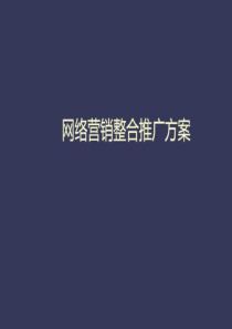 网络营销推广方案