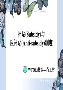 补贴(Subsidy)与反补贴(Anti-subsidy)制度-郑州大学