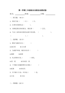 二年级上册综合实践测试卷