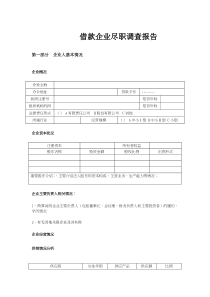 企业借款尽职调查报告