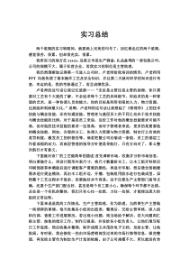 企业实习总结与心得