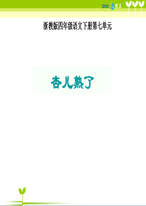 浙教小学语文四年级下册20杏儿熟了PPT课件1