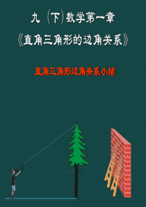 数学：第一章直角三角形的边角关系复习课件(北师大版九年级下)